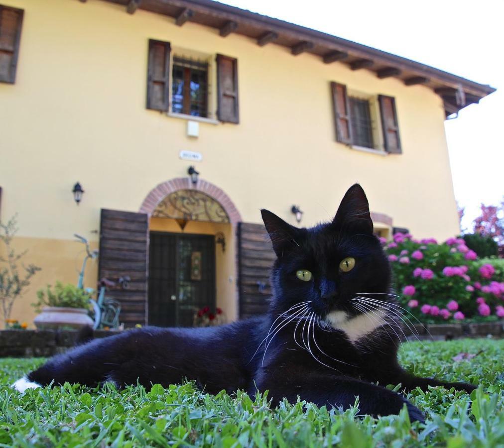 Casale La Decima Bed & Breakfast Budrio  Exterior photo